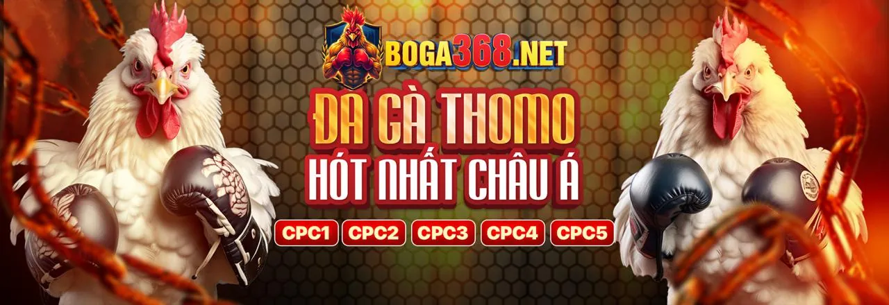 Hướng dẫn nạp rút tiền trên 8xbet app