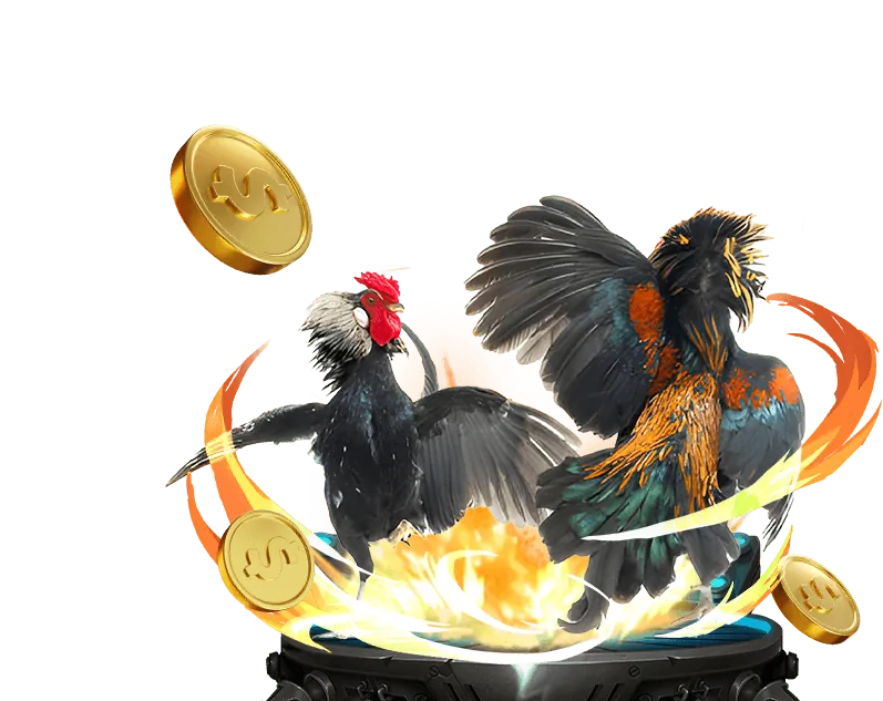 Luật chơi đá gà Nhatvip